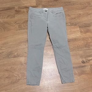 LOFT Olive Green Pants Size 6 Petite